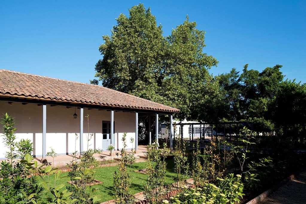 Отель Noi Blend Colchagua Санта-Крус Экстерьер фото