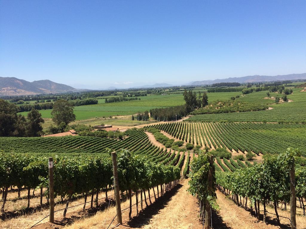 Отель Noi Blend Colchagua Санта-Крус Экстерьер фото