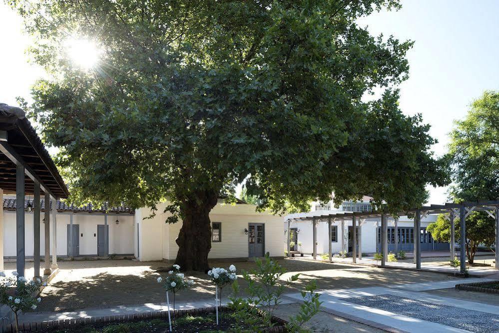 Отель Noi Blend Colchagua Санта-Крус Экстерьер фото